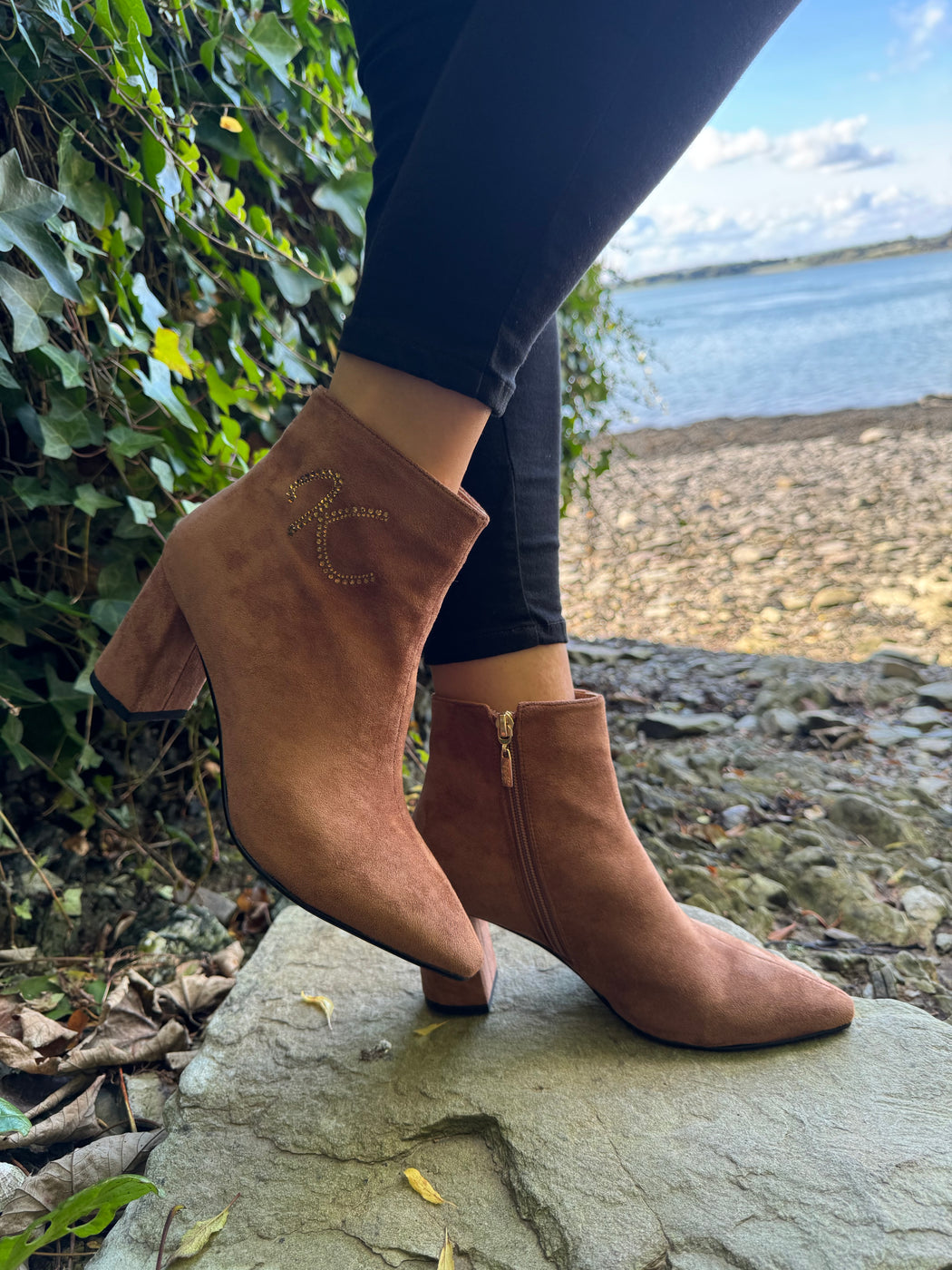Catterton rustic ankle boots