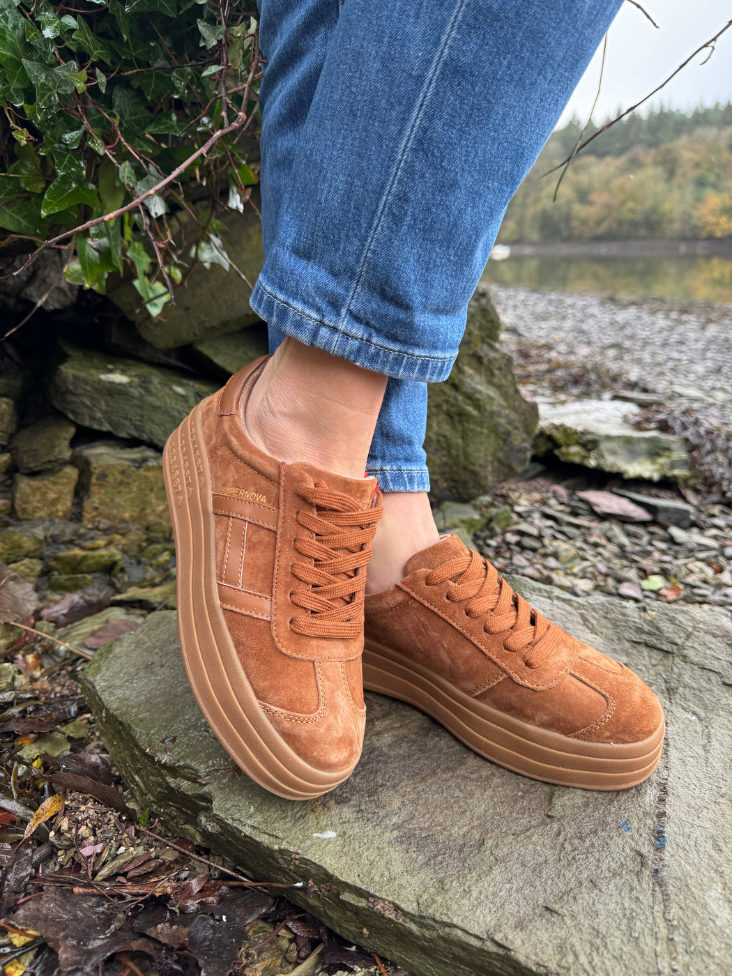 Sixty eight rustic trainer