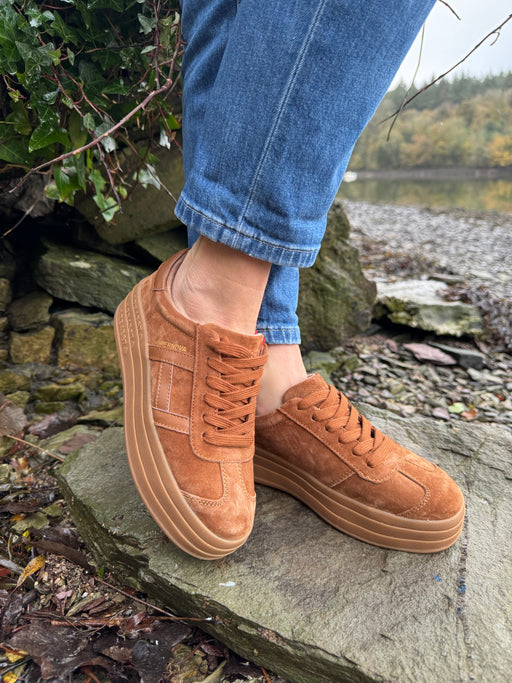 Sixty eight rustic trainer