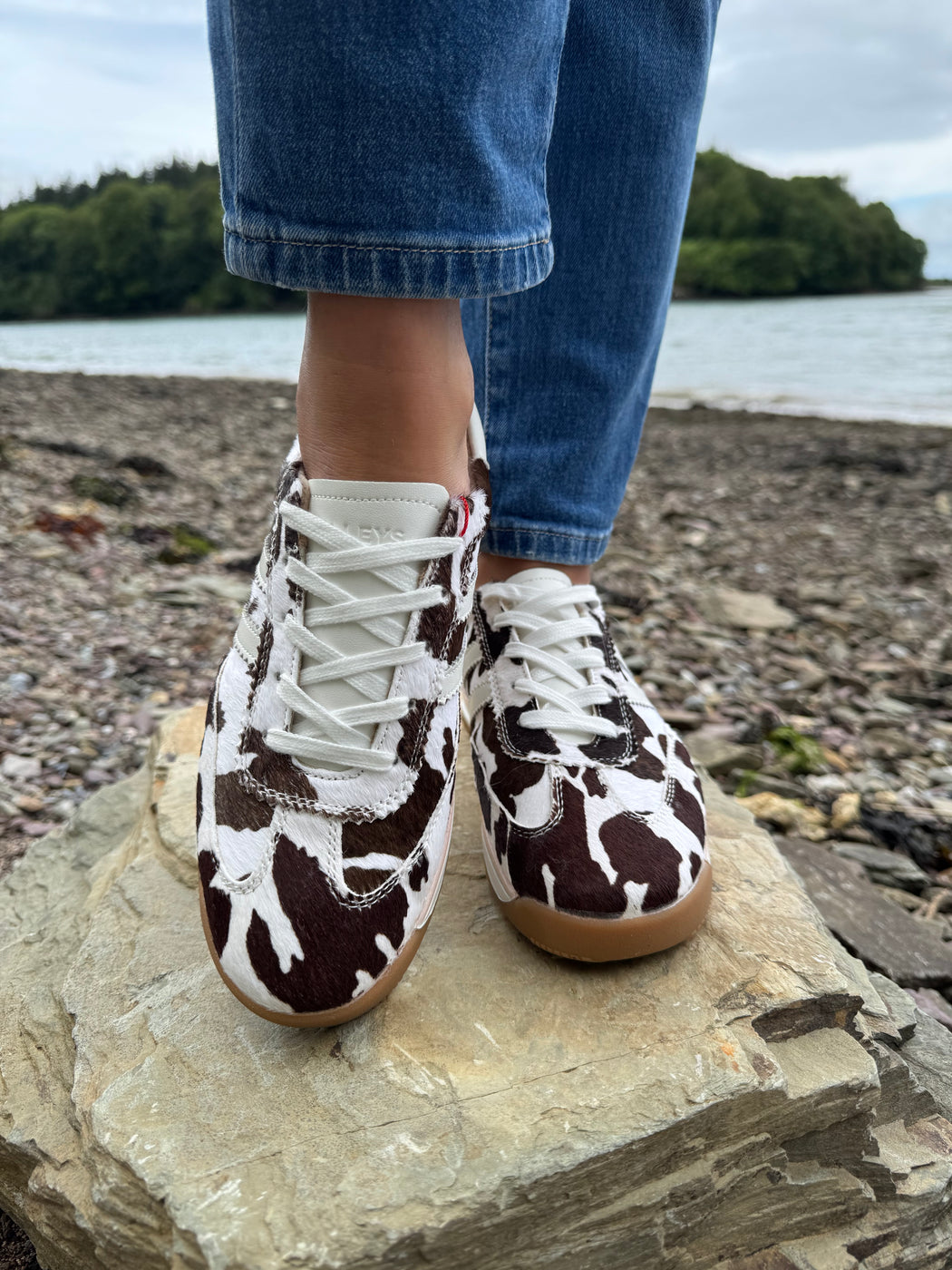 Seventy Three Moo Runners