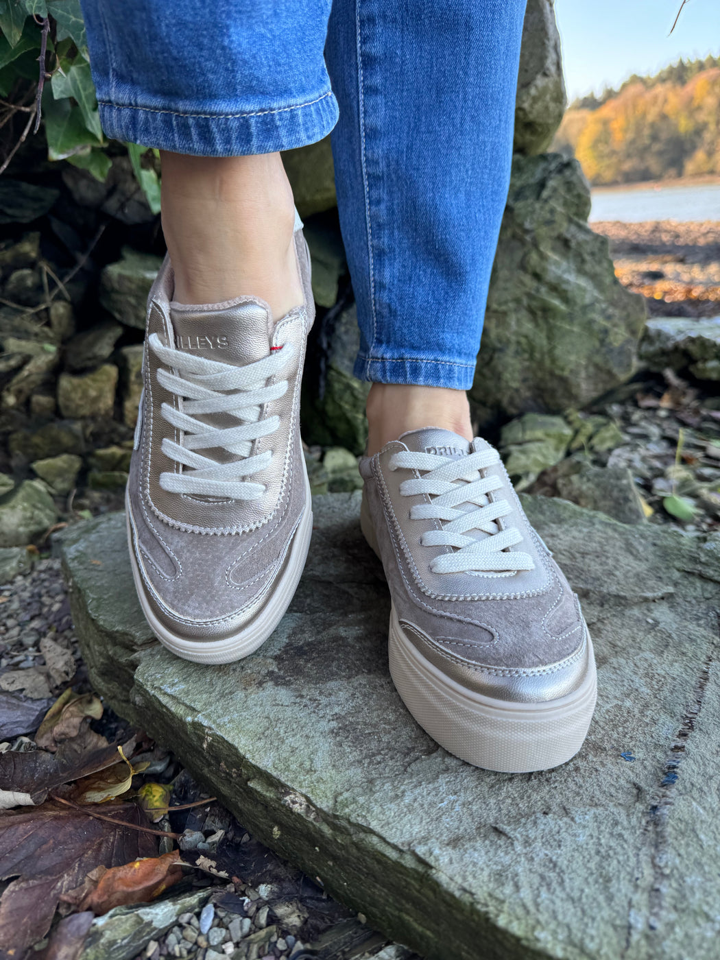 Eighty peregrine trainer