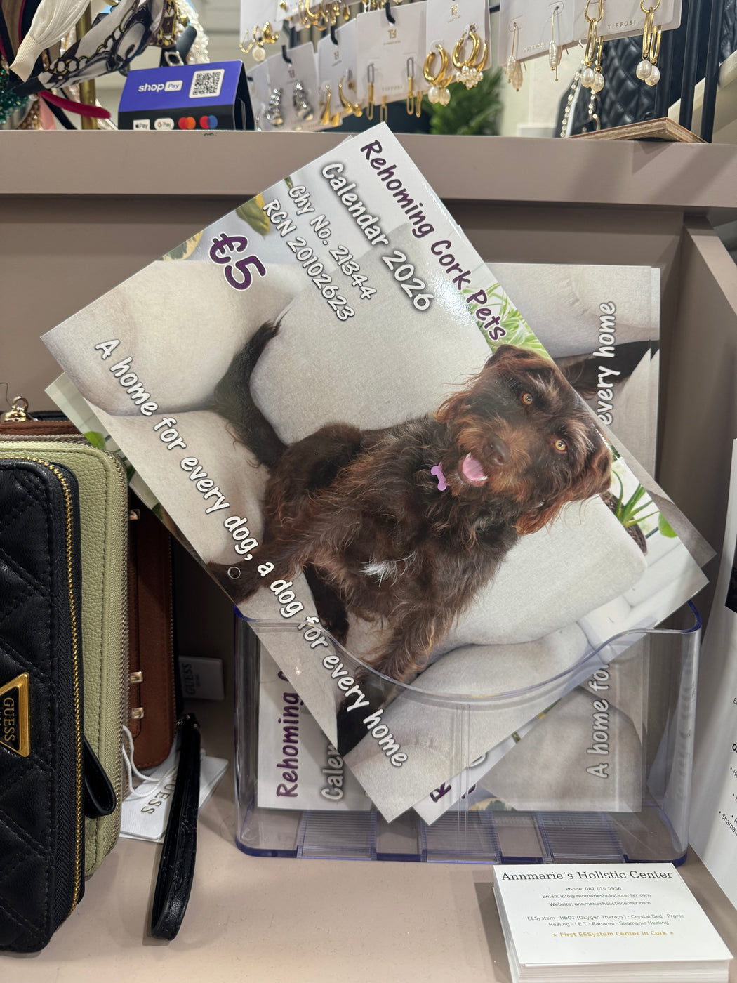 REHOMING CORK PETS 2026 CALENDAR