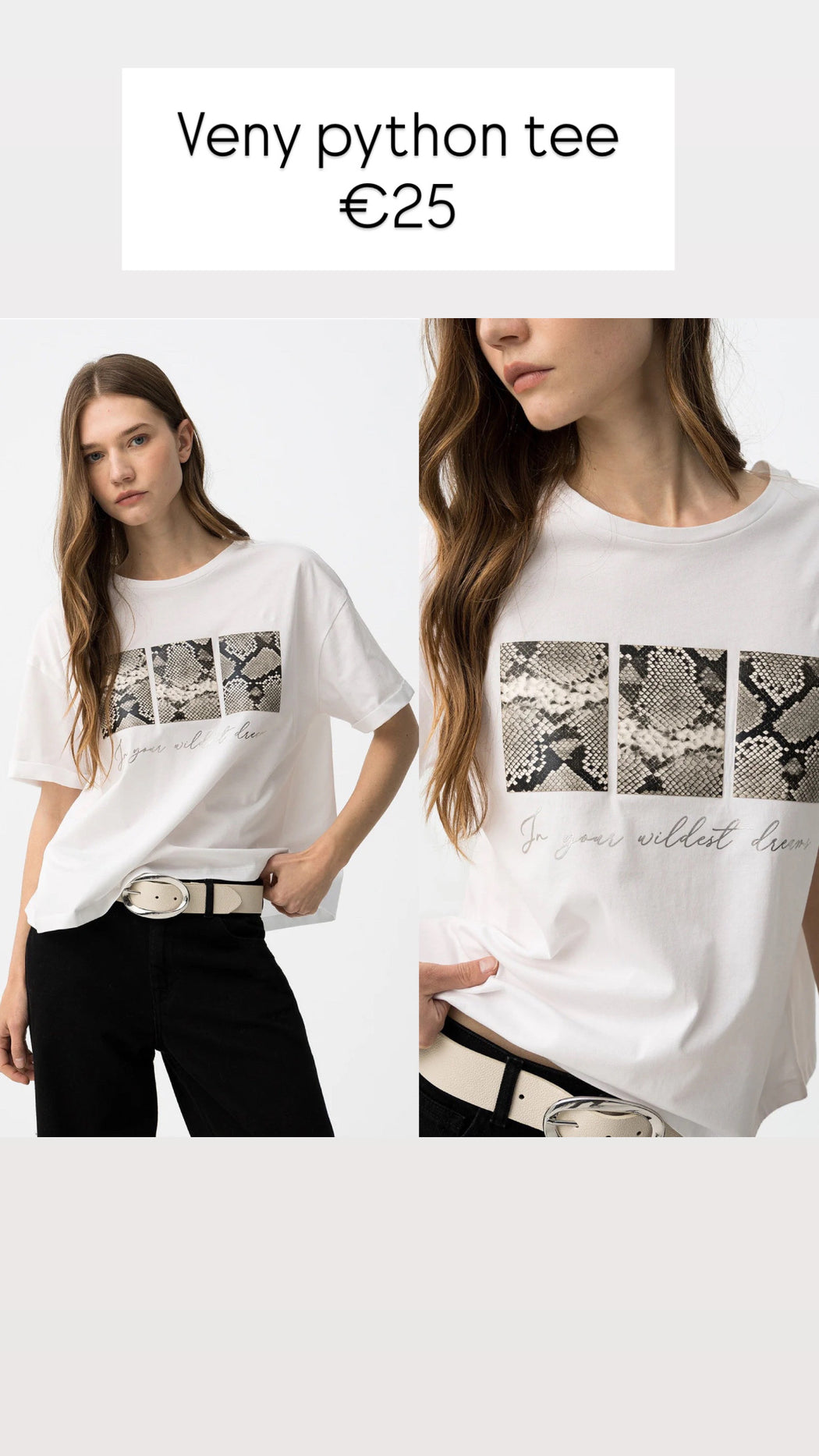 Veny python tee