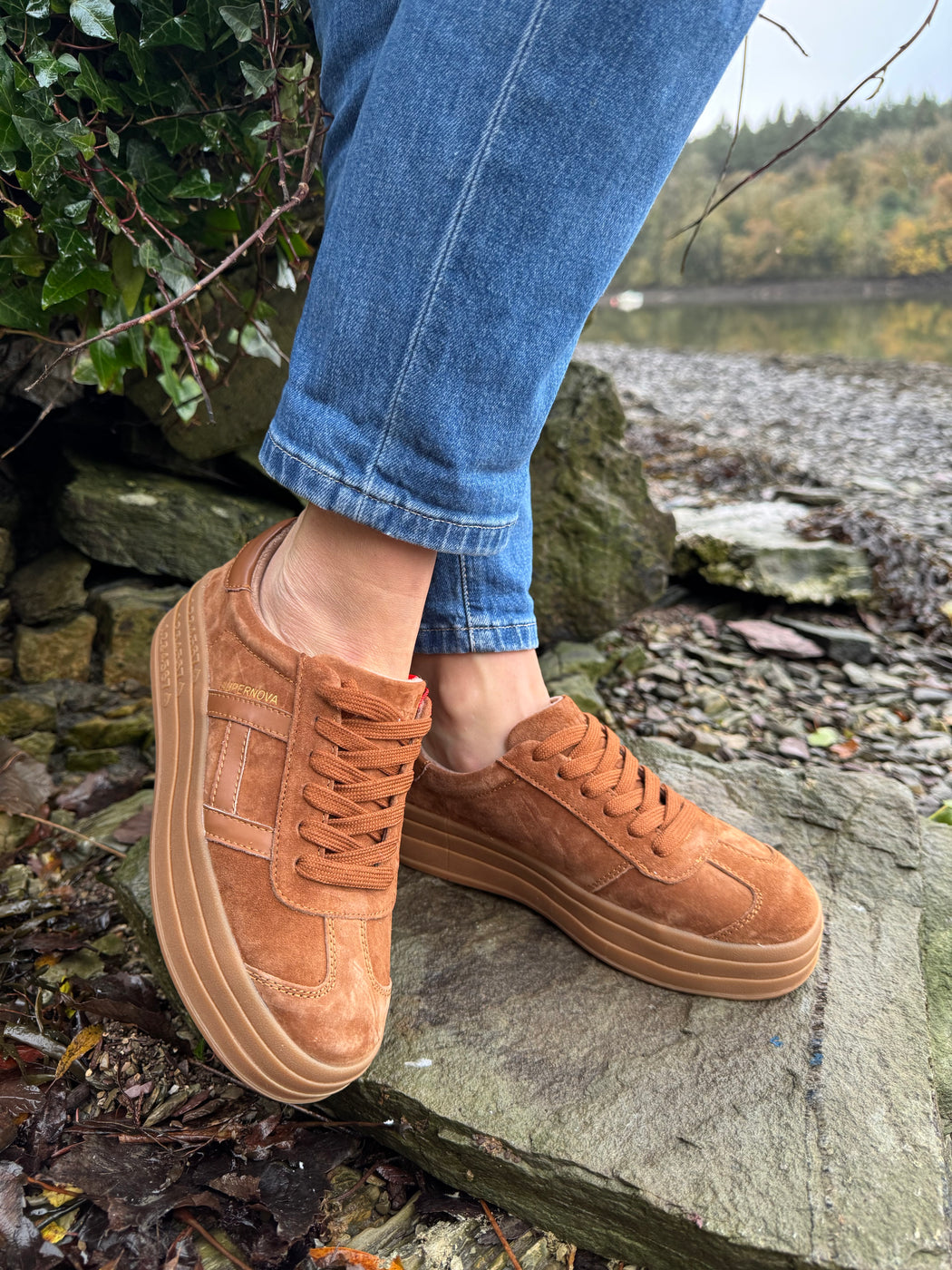 Sixty eight rustic trainer