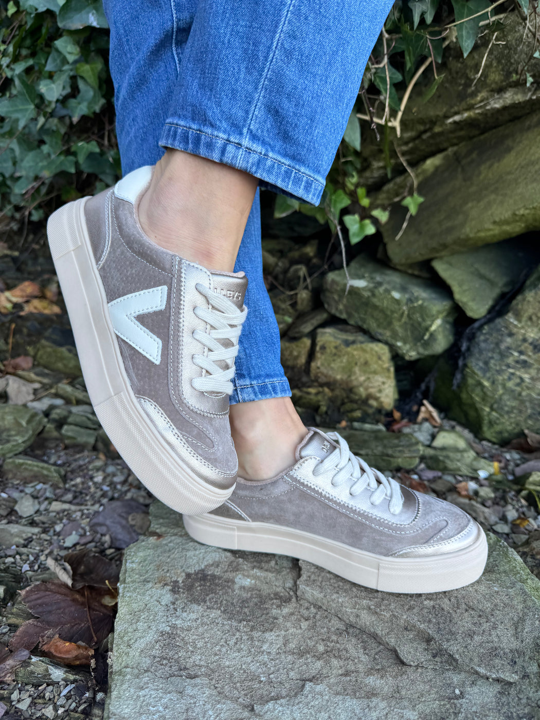 Eighty peregrine trainer