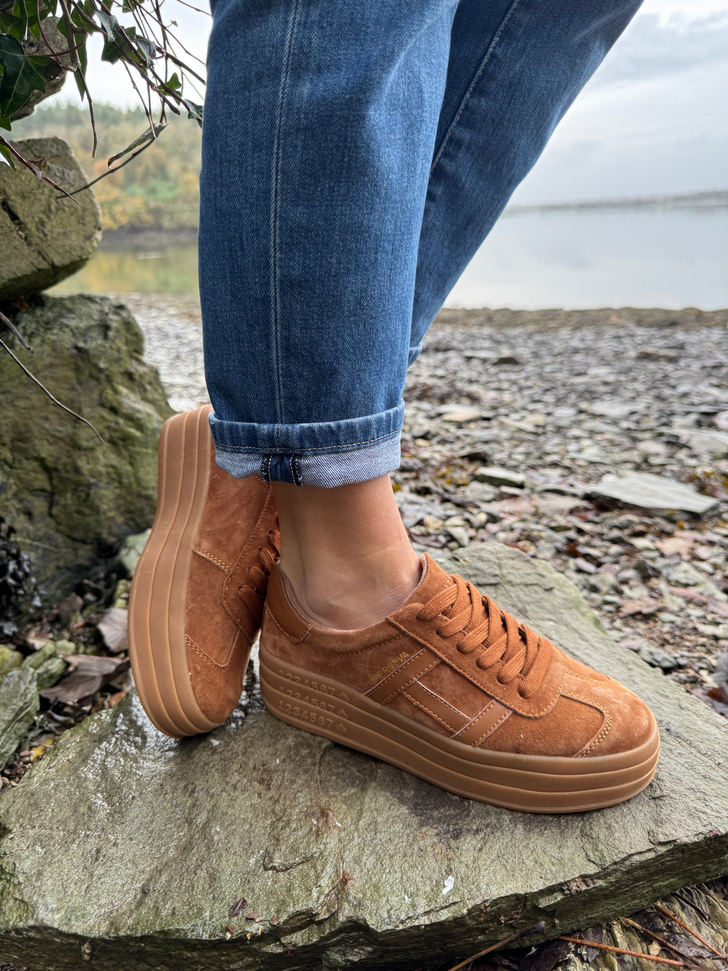 Sixty eight rustic trainer