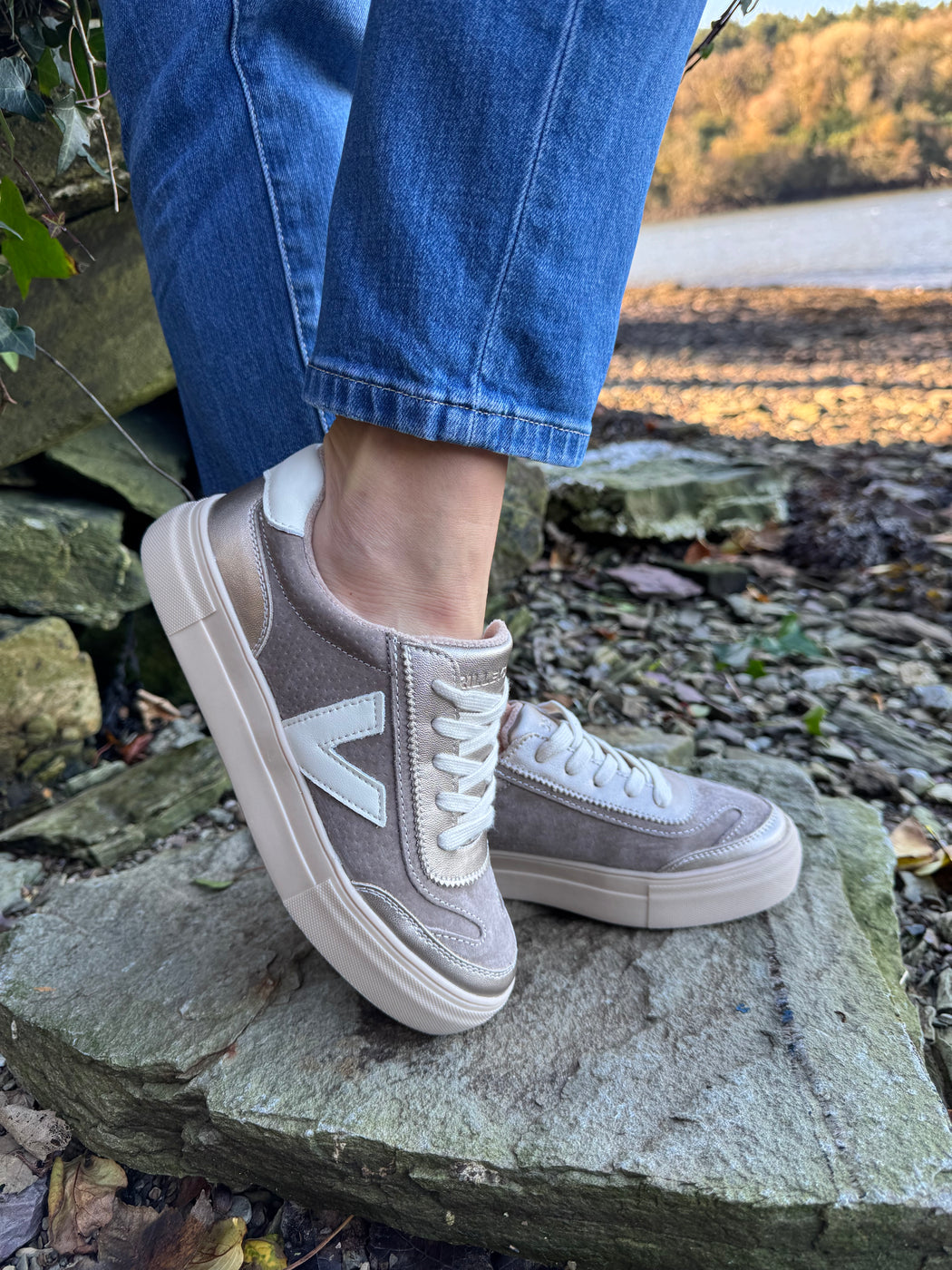 Eighty peregrine trainer