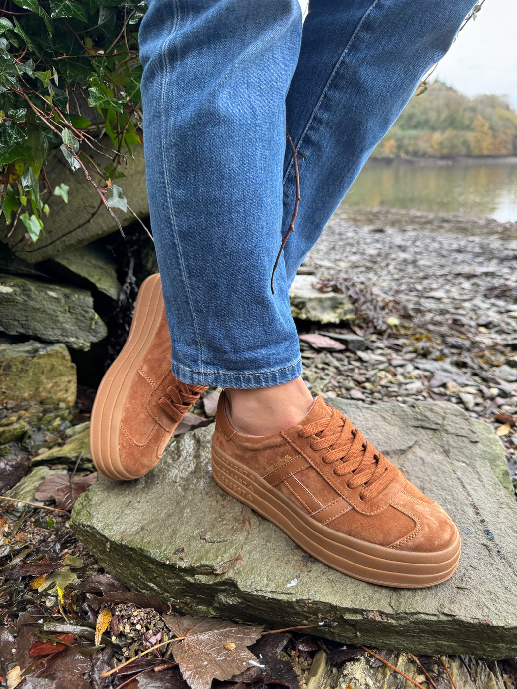 Sixty eight rustic trainer