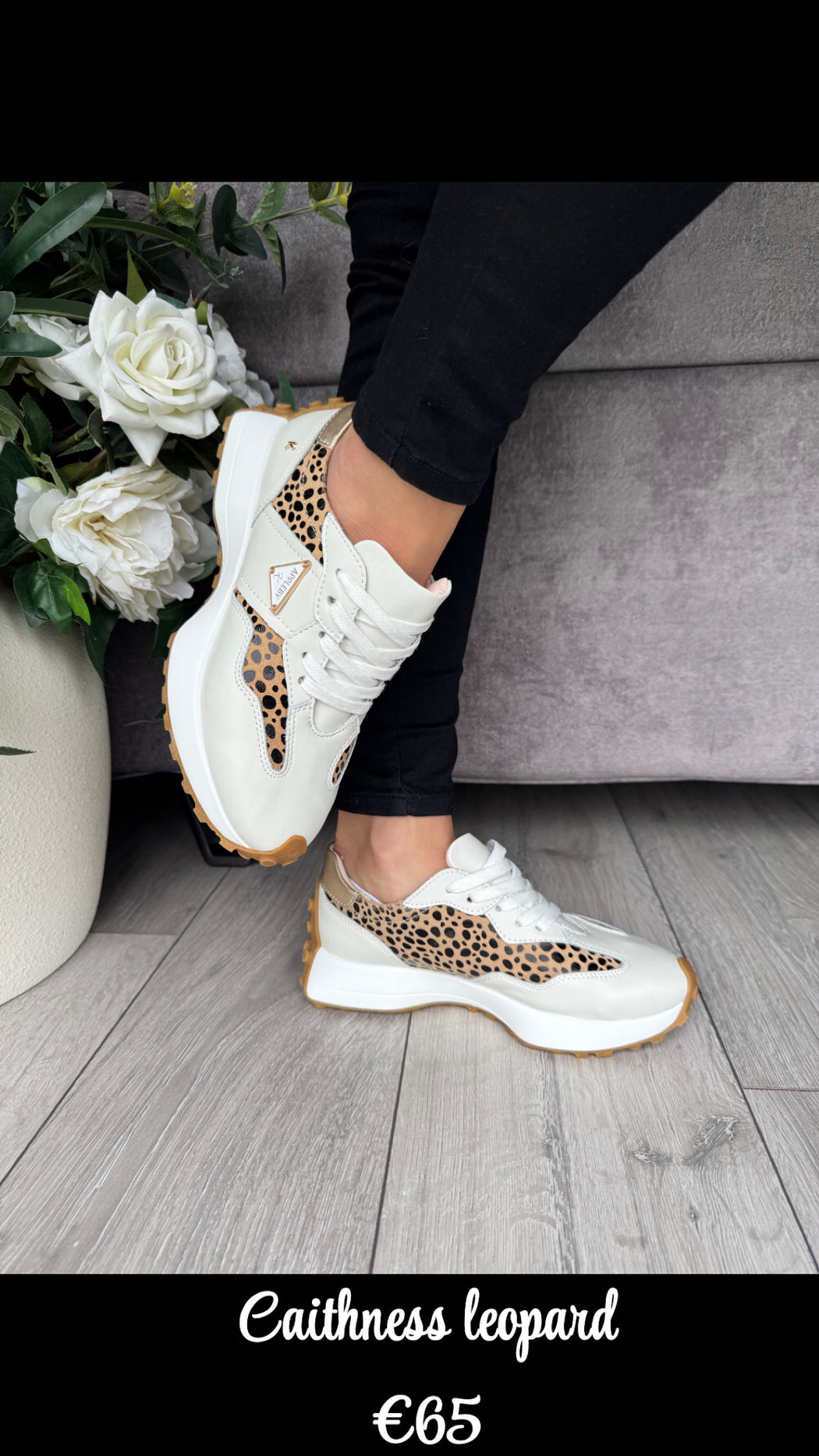 Caithness leopard