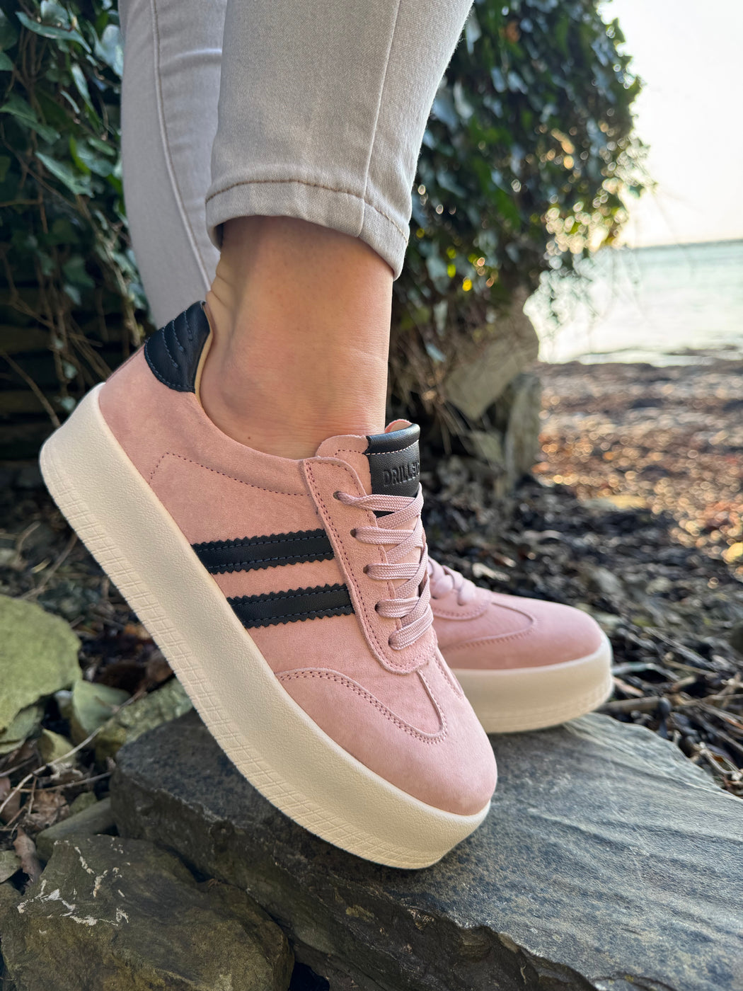 Seventy eight blush