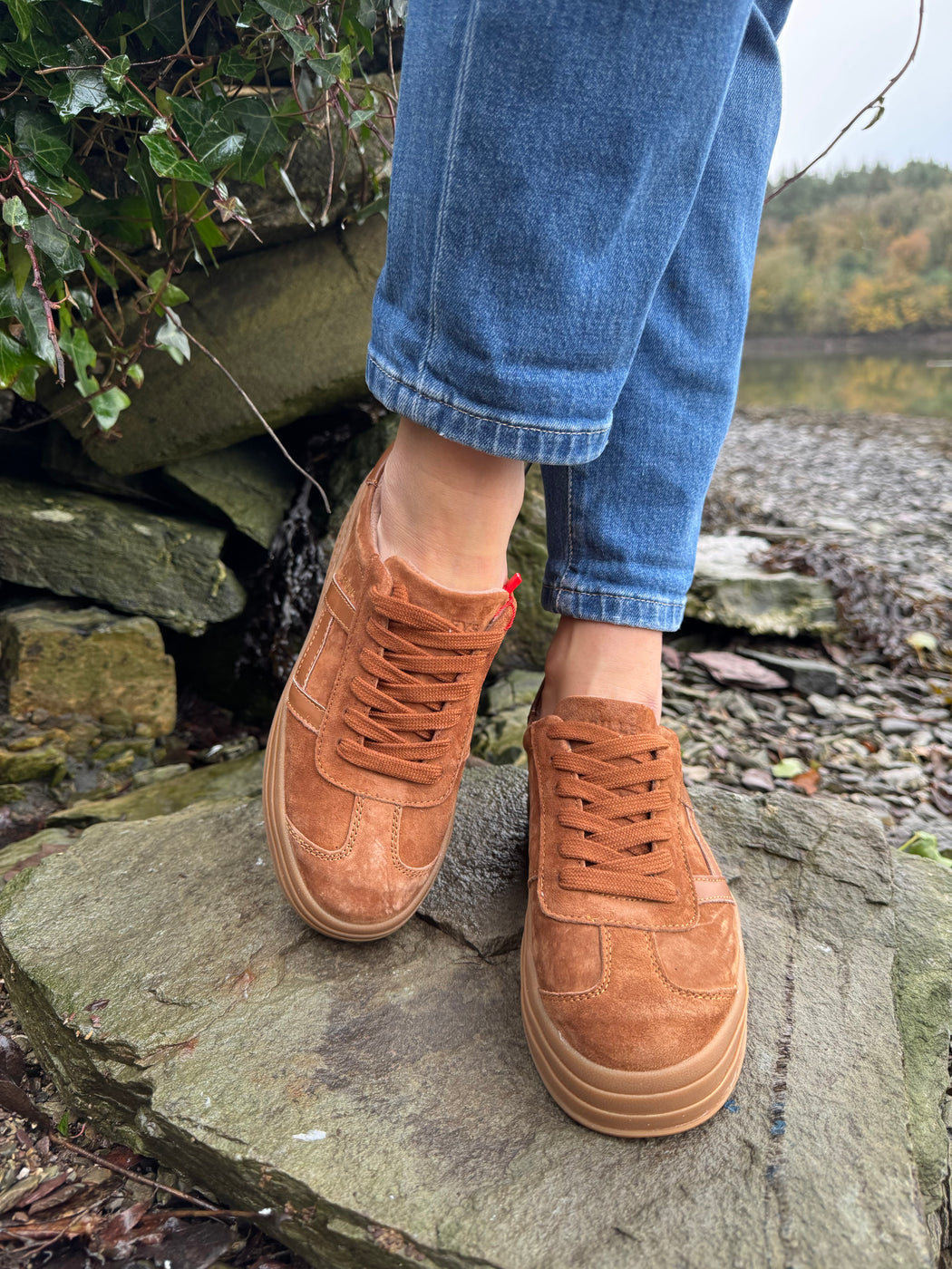 Sixty eight rustic trainer