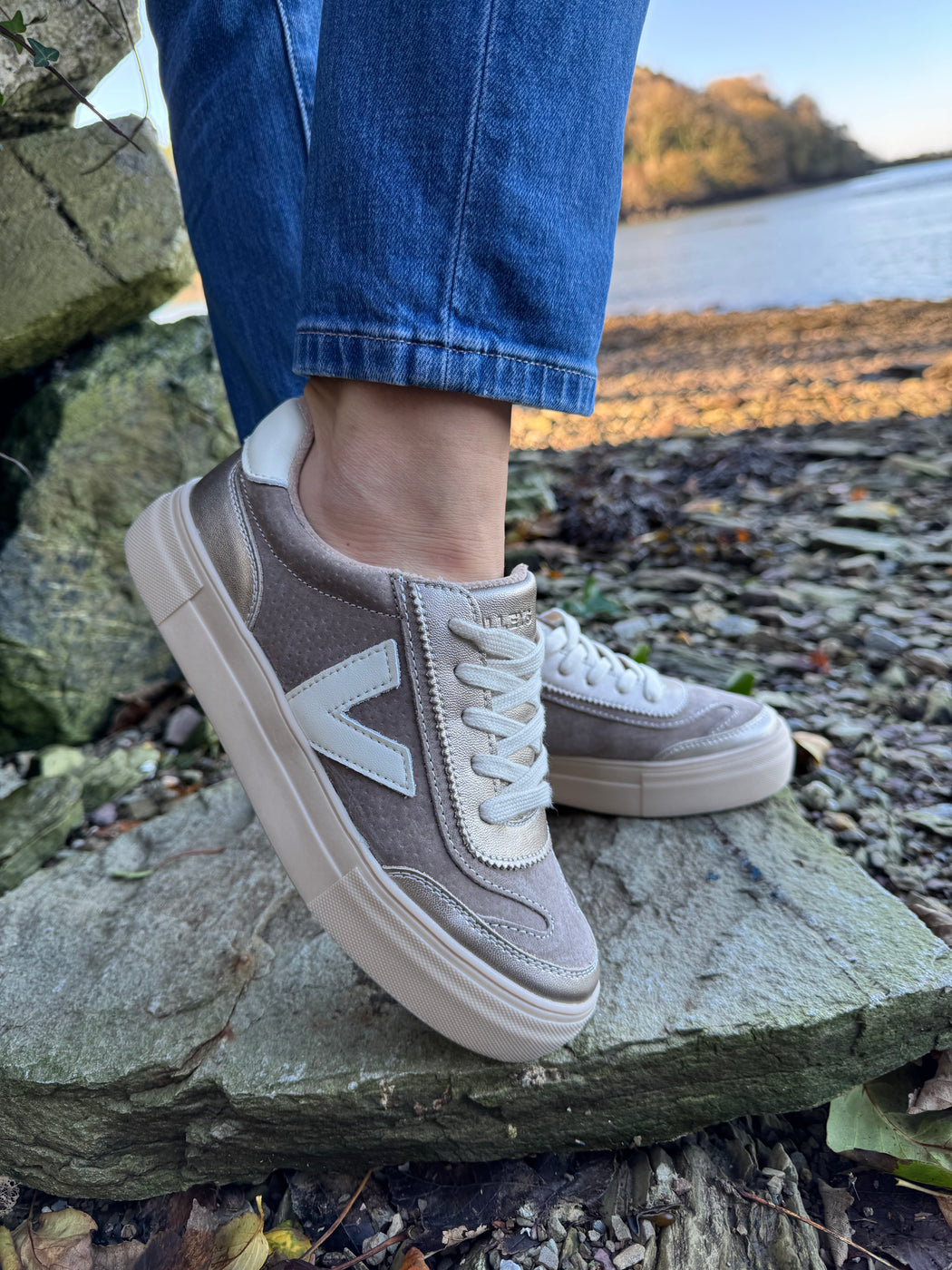 Eighty peregrine trainer