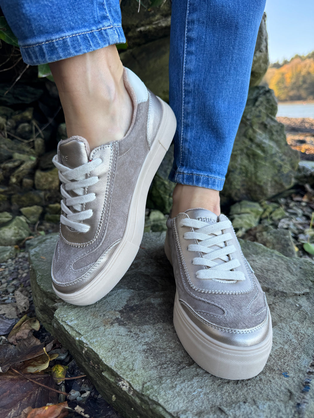 Eighty peregrine trainer