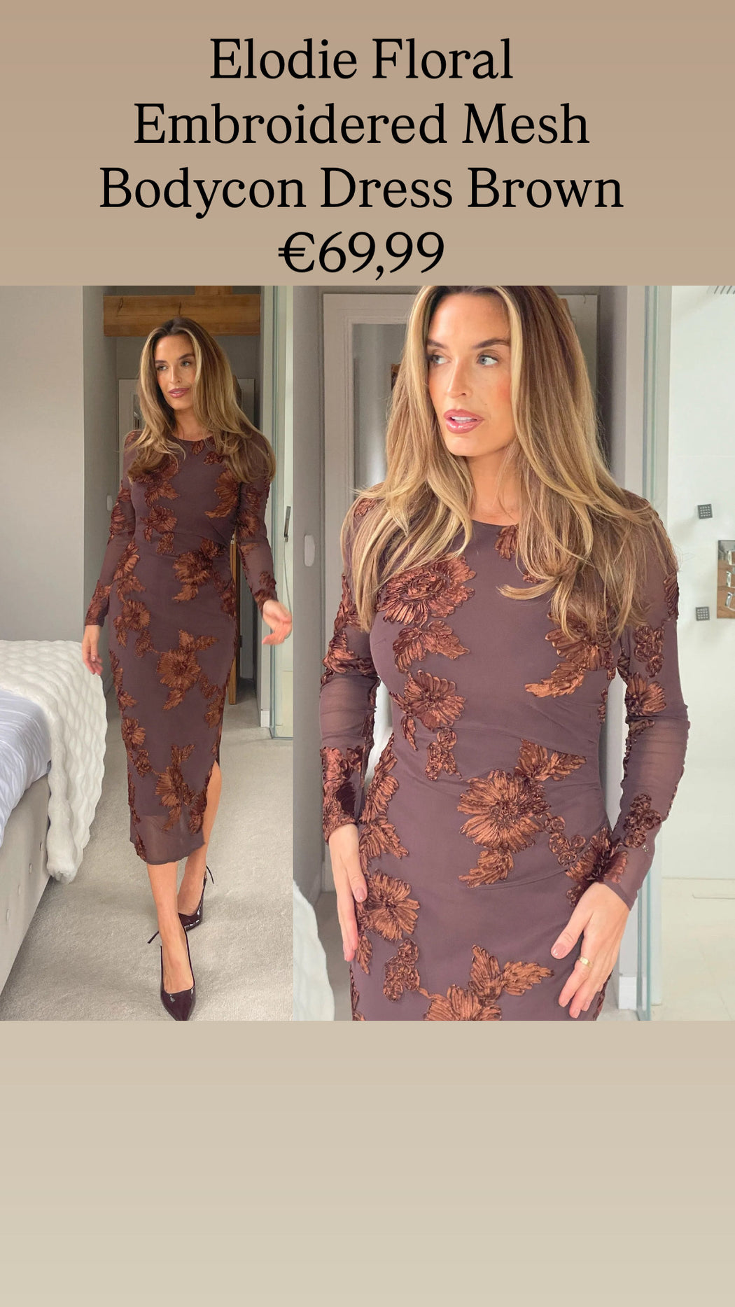Elodie Floral Embroidered Mesh Bodycon Dress Brown
