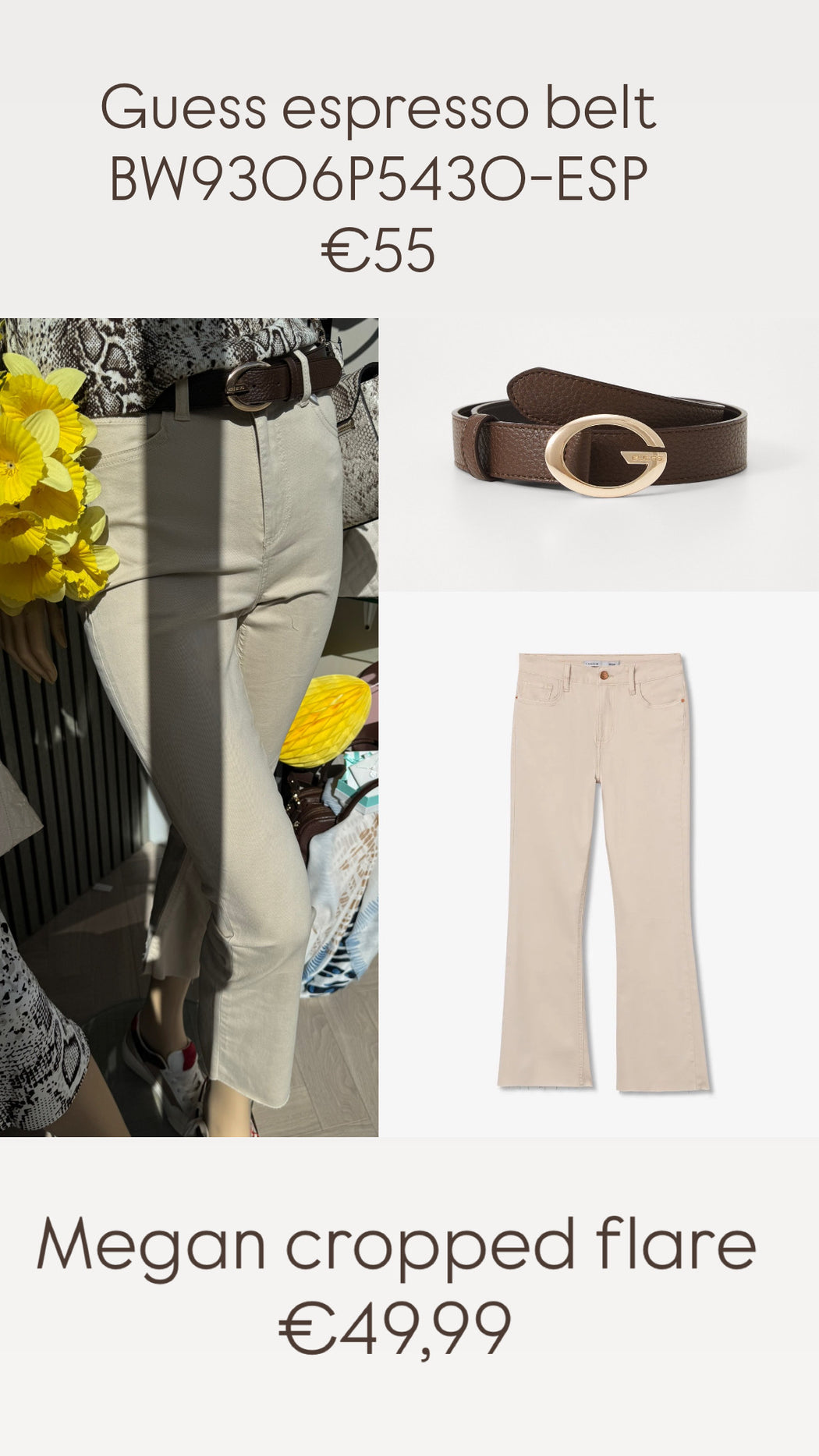 Guess espresso belt BW9306P5430-ESP