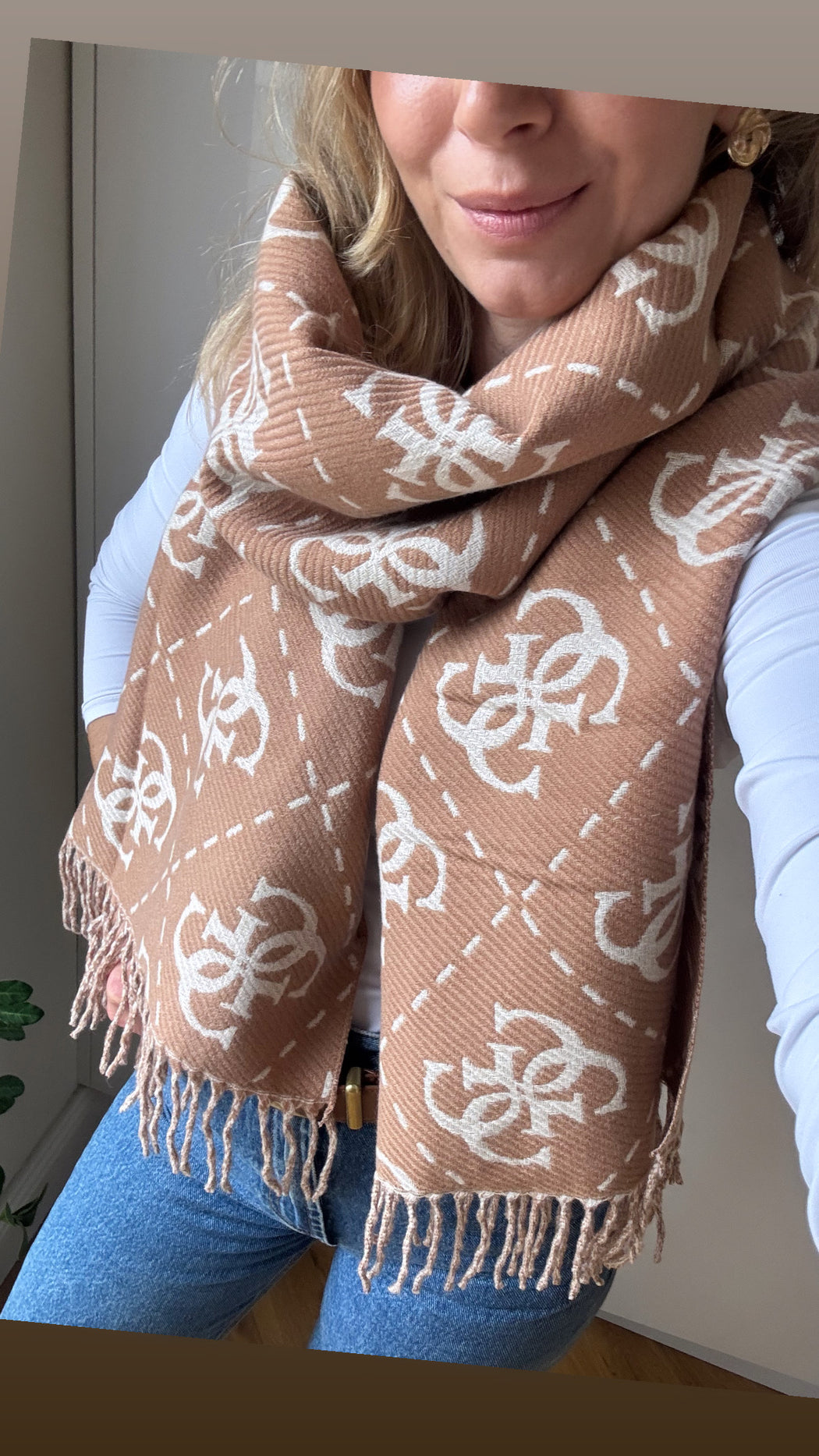 Nolana beige 4G logo scarf aw5217vis03