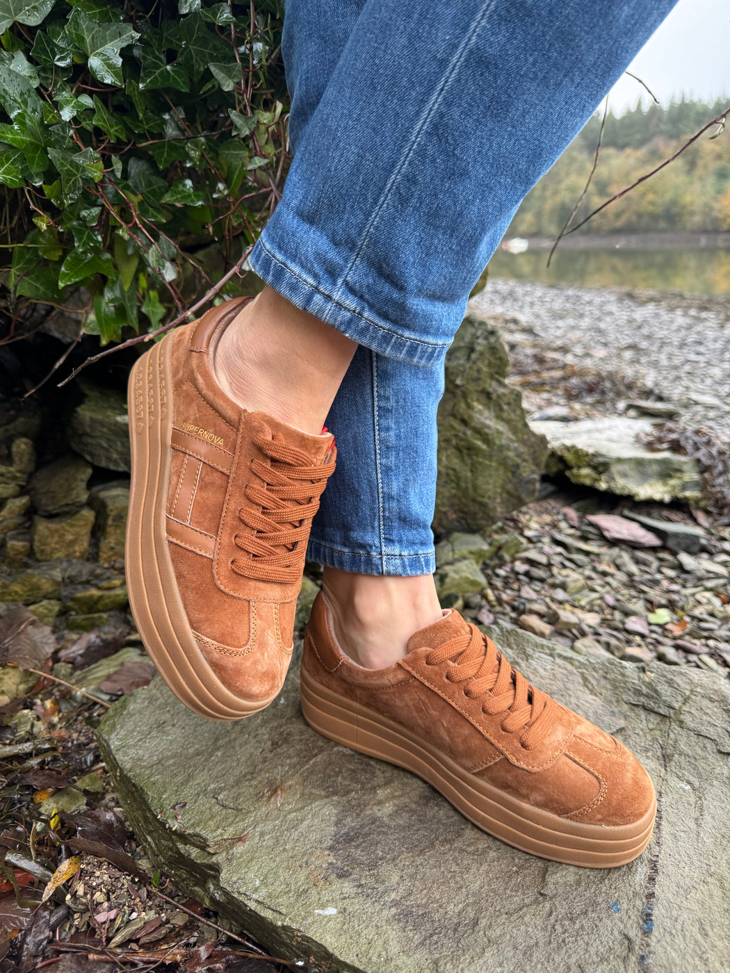 Sixty eight rustic trainer