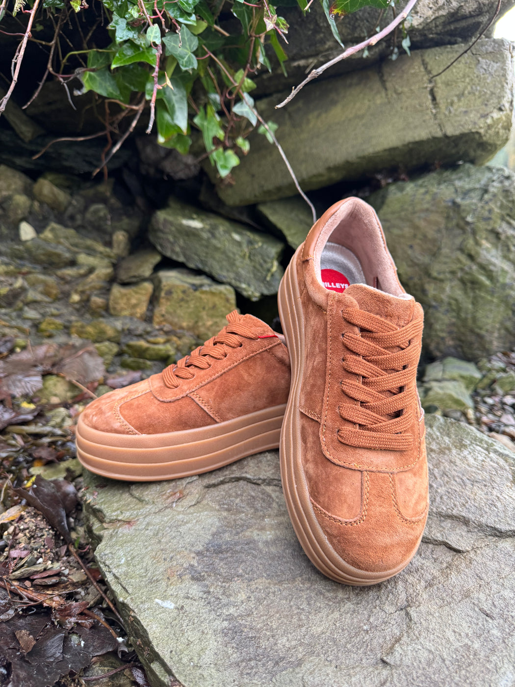 Sixty eight rustic trainer