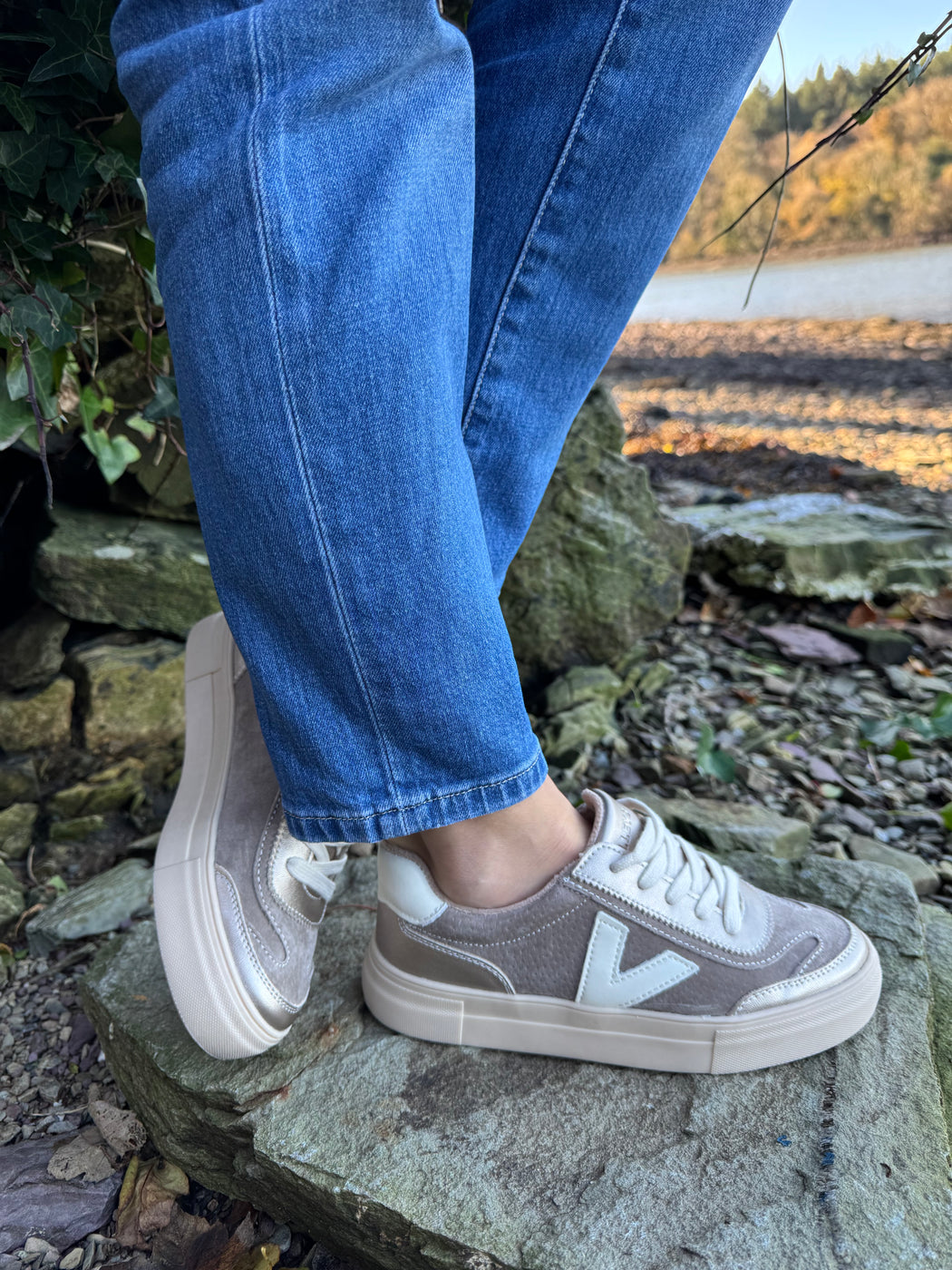 Eighty peregrine trainer