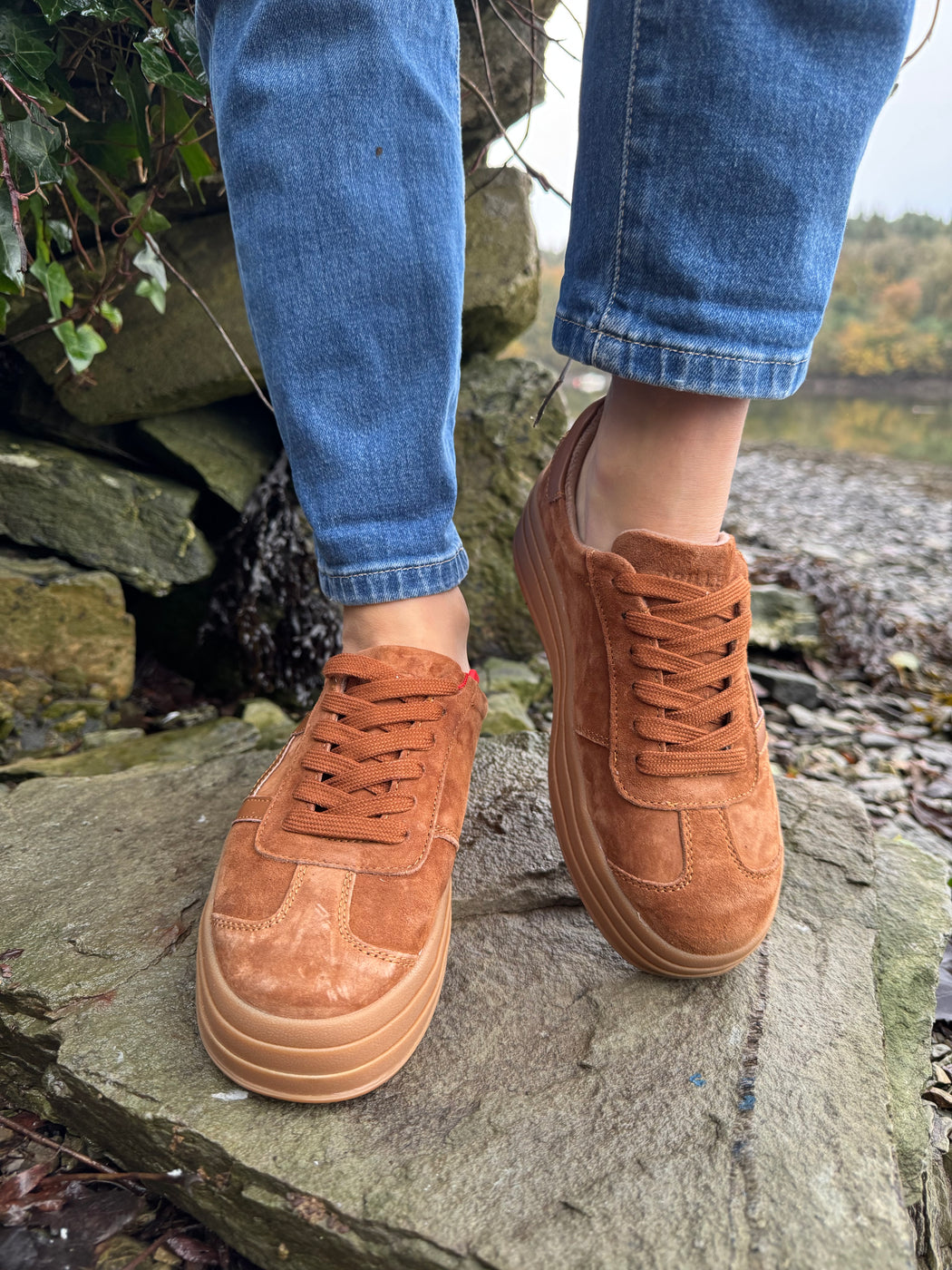 Sixty eight rustic trainer