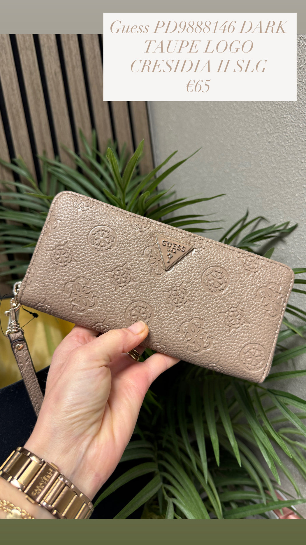 Guess PD9888146 DARK TAUPE LOGO
CRESIDIA II SLG