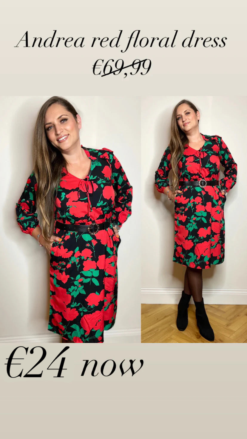 Andrea red floral dress