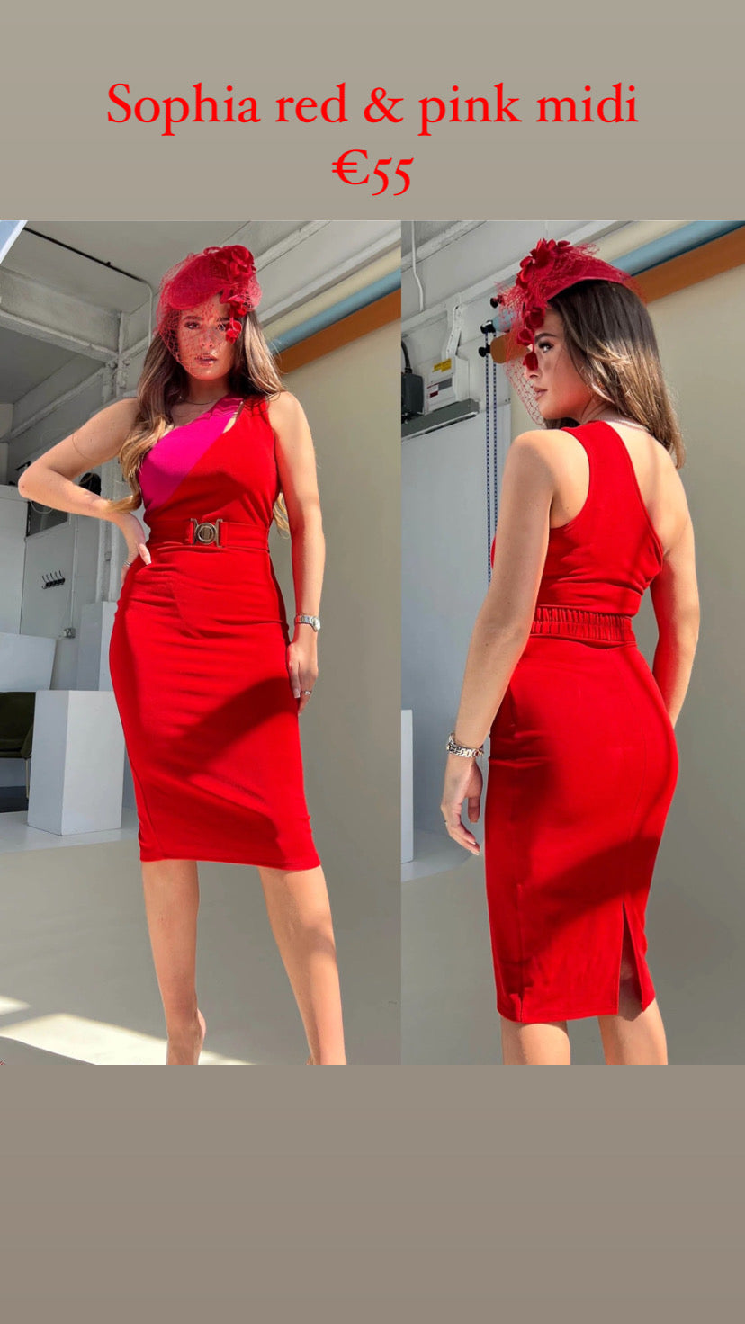 Sophia Red & Pink One Shoulder Dress
